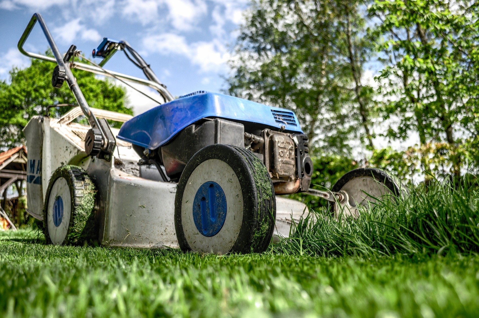 Jak dobrać nawóz do trawników w zależności od rodzaju gleby?