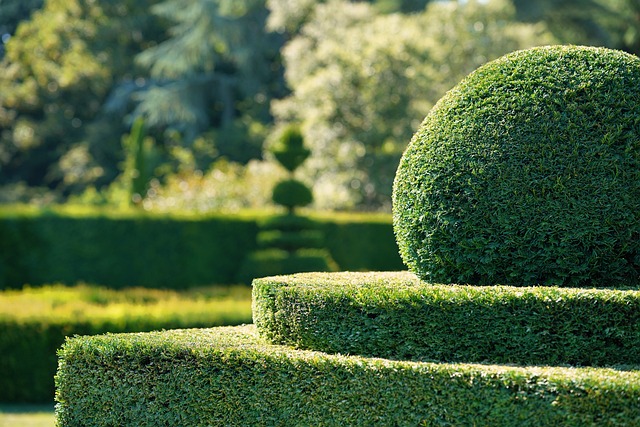Topiary Co To Jest